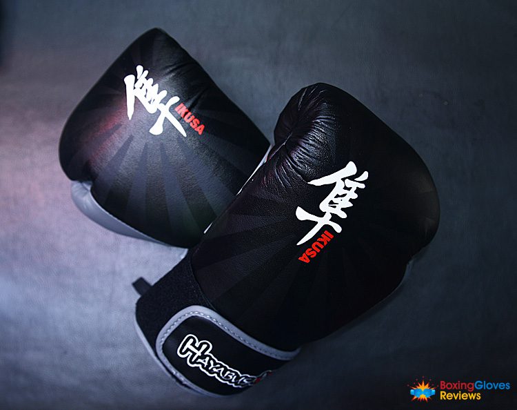 Hayabusa Ikusa Boxhandschuhe im Test