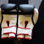 Guantes Title Gel Wold Heavy Bag