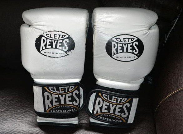 cleto reyes universal training gloves