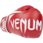 Revisão das luvas de boxe Venum Challenger 2.0