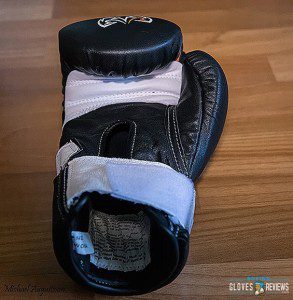 Revisión de guantes de boxeo Rival RS2V foto
