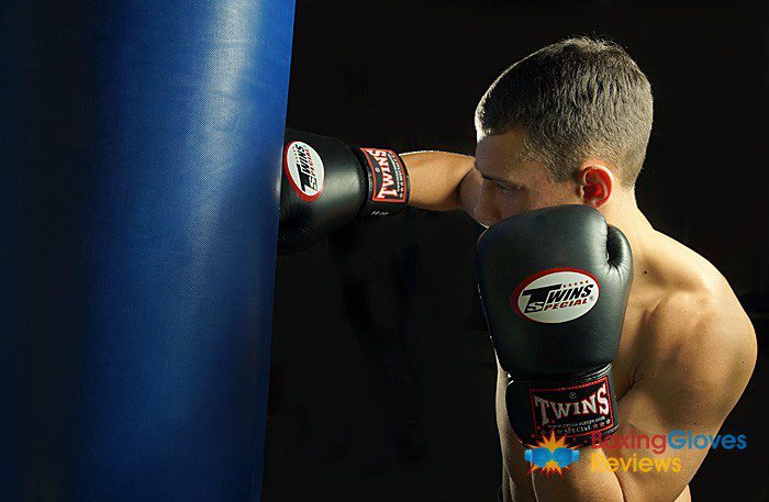 Twins Special Thai Boxing Gloves BGVL 3 Review