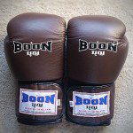 Top 10 Best Boxing Gloves photo