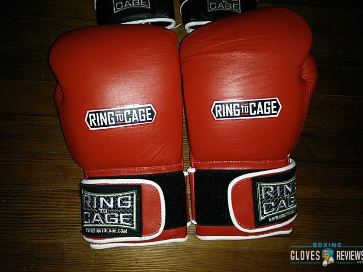 Ring to Cage C 17 2.0 Boxing Gloves Review 2022 Update