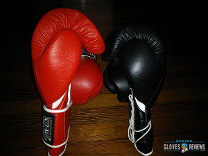 Ring To Cage C17 Review Boxing Gloves Reviews