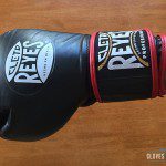 Hybrid Gloves review