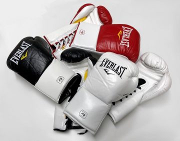 Everlast Mx Professional Fight Gloves - Boxing Gloves Reviews