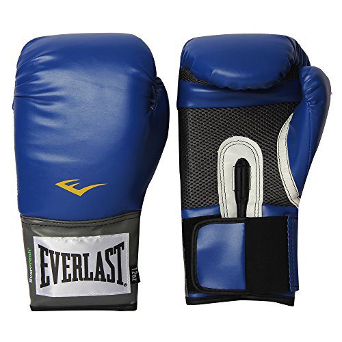 Guantes de bajo presupuesto: guantes de entrenamiento Everlast Pro Style