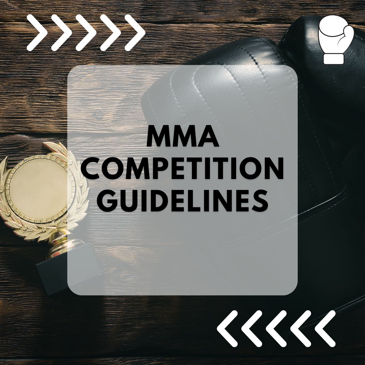 MMA competition guidelines